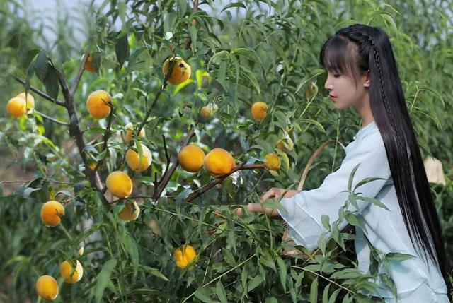 網紅李子柒：父母離異被收養，坎坷前行遇風口，與世無爭只是童話 娛樂八卦吃瓜 第16张