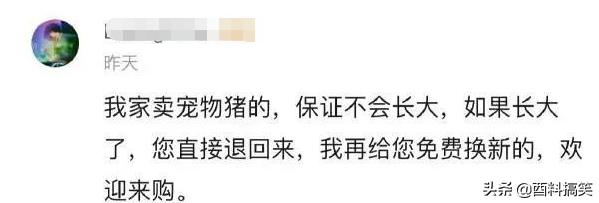「一直以為這個洞是放手指的，我才發現我錯了」，太尷尬了哈哈哈 搞笑整蠱 第8张