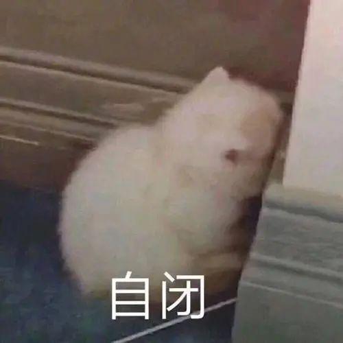 情人节送老公什么礼物七夕送什么？救急礼物清单来了