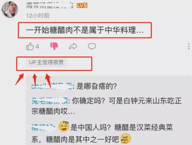 韓國一網紅翻車！在我國生活多年，卻稱糖醋肉為韓式料理 娛樂八卦吃瓜 第10张