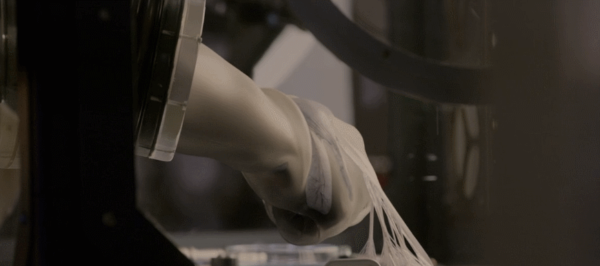 异星觉醒好看吗（异星觉醒里的卡尔文）