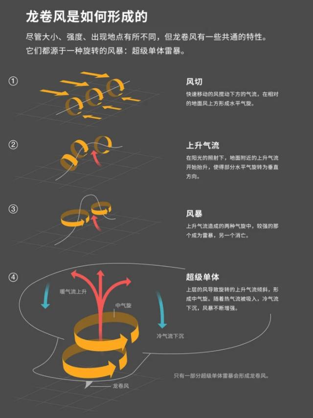 青海湖龙吸水事件（水里的鱼会被吸走吗）