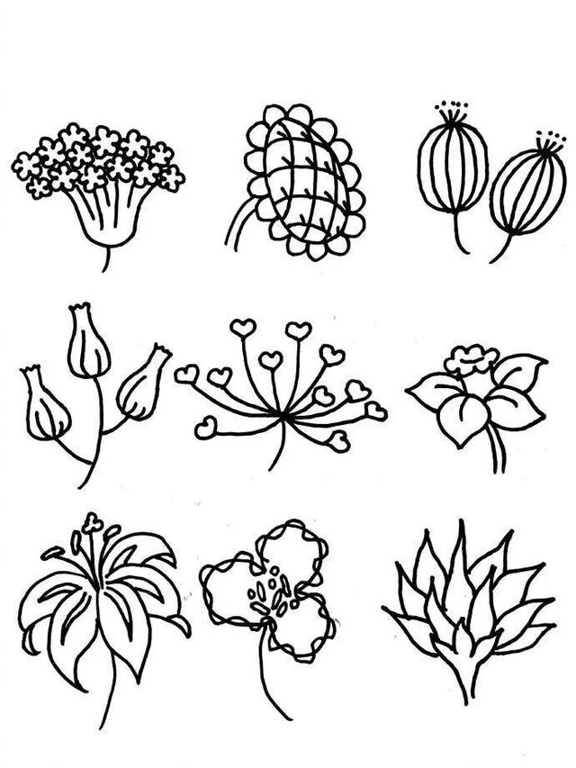 二十种花朵简笔画,花朵简笔画彩色
