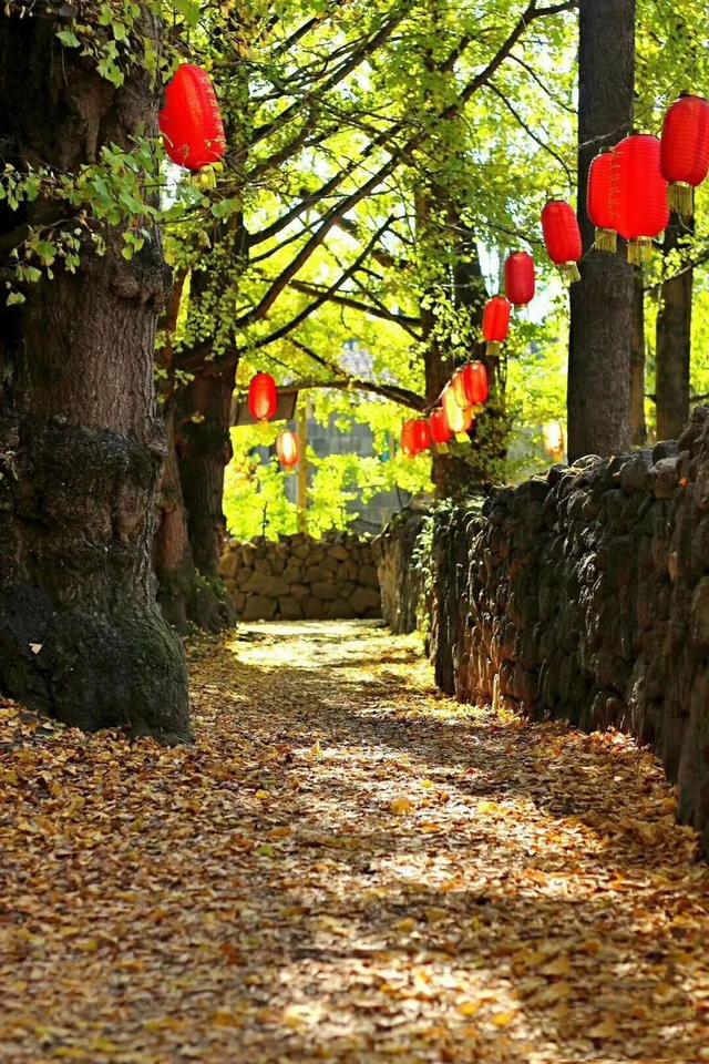 这个“十一”朋友圈里的云南又美出新高度