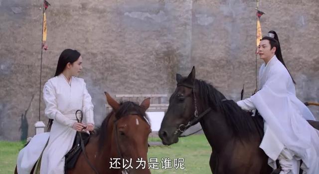 斛珠夫人剧情介绍（斛珠夫人大结局怎么样）