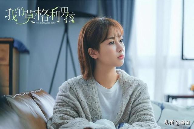 好看的姐弟恋电视剧，有关姐弟恋的所有电视剧有哪些