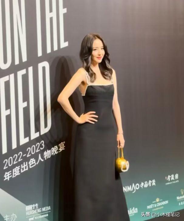 孙俪和谢娜的年龄差距，孙俪谢娜成都出席活动