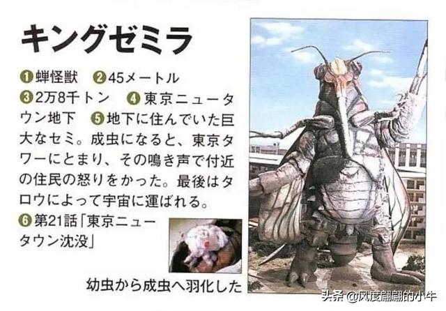 宇宙海人巴爾吉星人，泰羅奧特曼第6集的怪物（泰羅我勸你不要不識好歹）