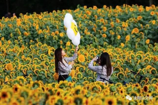 我们身边的沈阳，他曾数十次翱翔在沈阳的上空