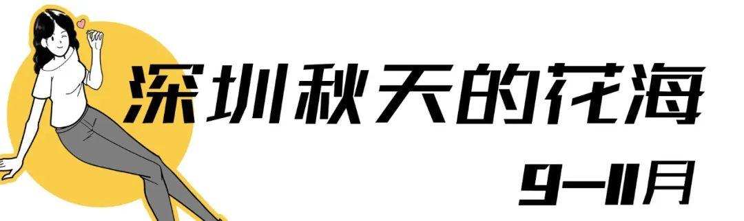 附近看花的地方，深圳最适合去赏花的地方（2023西安及周边赏樱花的地点大全）