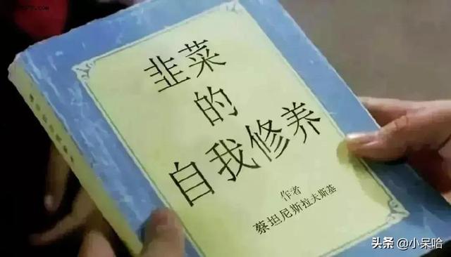 评价最高的十部历史剧，高分的历史剧推荐