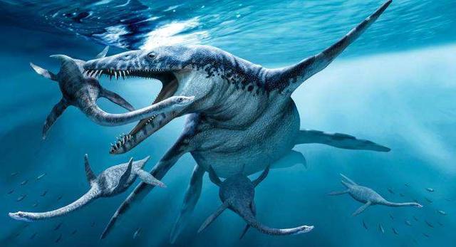 海洋十大霸主排行榜，世界上最可怕的十大海洋生物——虎鲸到底是不是海洋霸主