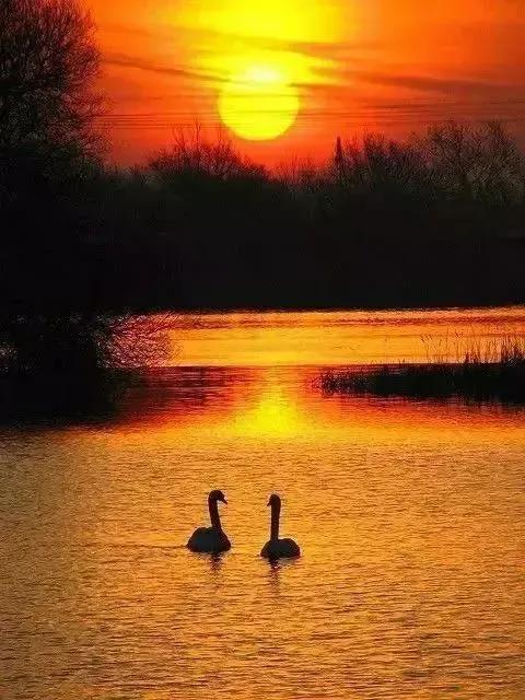 现代小短诗自创（现代短诗系列：感悟）