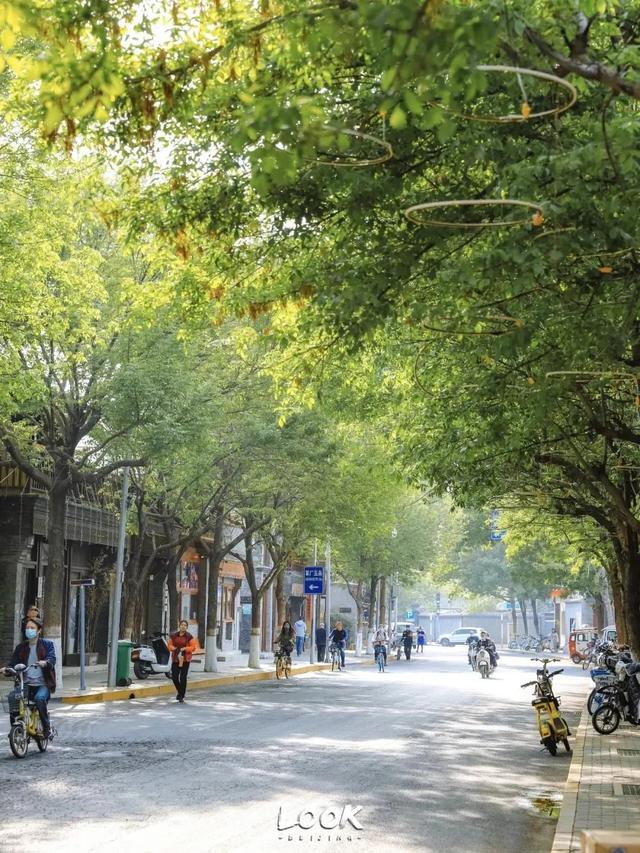 北京周末好去处市区，周末打卡好去处-白塔寺