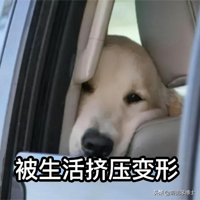 别再四处互粉增粉了!你的关心总数会影响到你