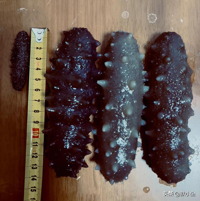 干海参如何泡发的正确方法，海参的泡发方法