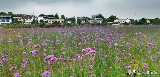绵阳有哪些旅游景点大全，绵阳景区有哪些景点