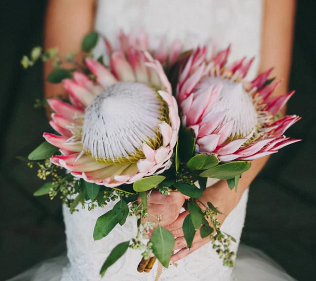 最漂亮的20种花，10种花中贵货太好看