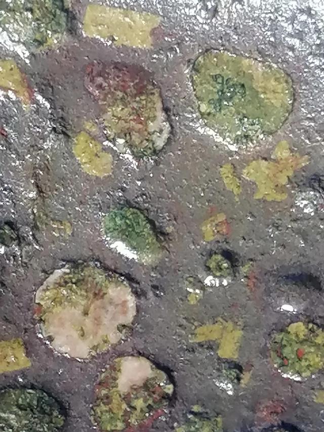 橄榄石石铁陨石,橄榄石铁陨石的特征与磁性 橄榄石石铁陨石,橄榄石铁陨石的特征与磁性