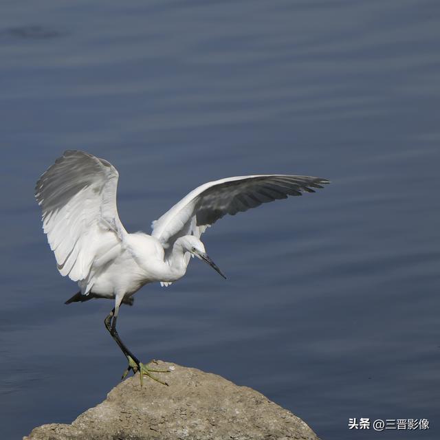 松下s1r拍摄效果怎么样，带你看看松下S1R真正实力