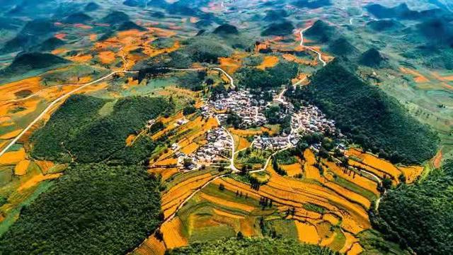 云南丘北辣椒，线椒丰收变“钱”椒