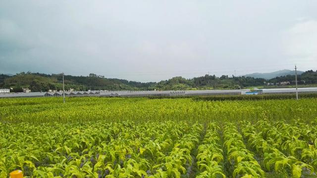 北回归线标志园，昆明墨江北回归线标志园（游客排队喝井水：就会生双胞胎）