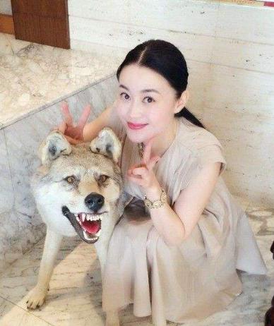 赵本山和关婷娜现在怎么样，我和赵本山是清白的