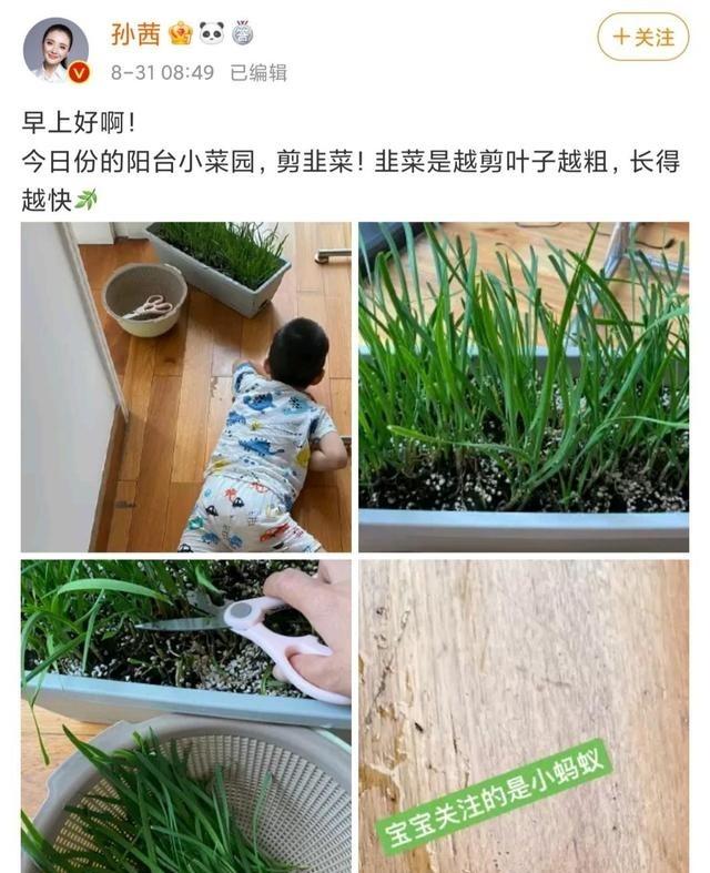 孙茜，孙茜年龄最新消息