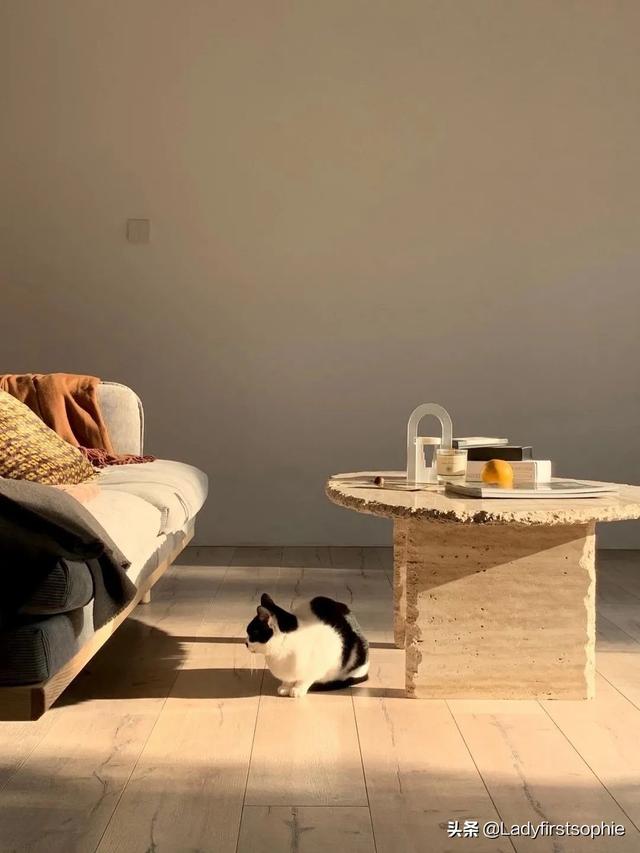 大开间一居室如何布置，110㎡只做一居室