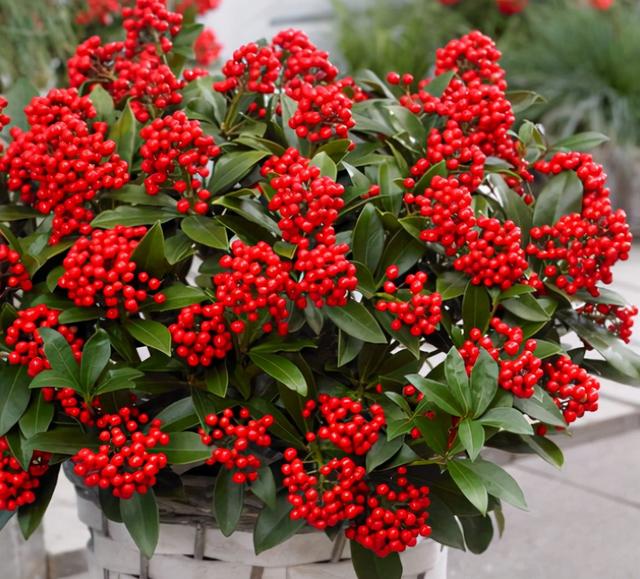 最漂亮的20种花，10种花中贵货太好看