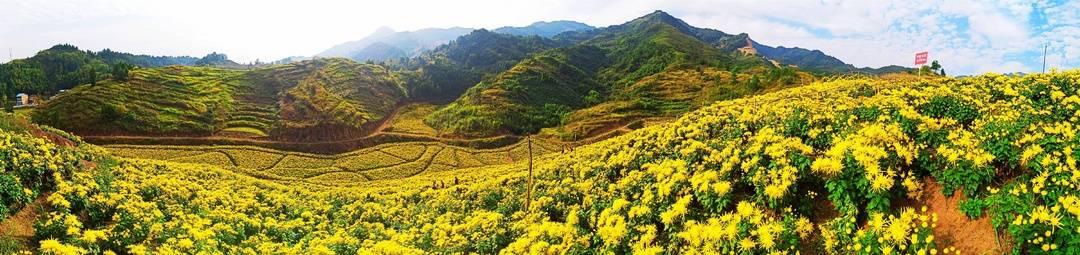 后续治理有深度 四川开江搬迁群众人心暖