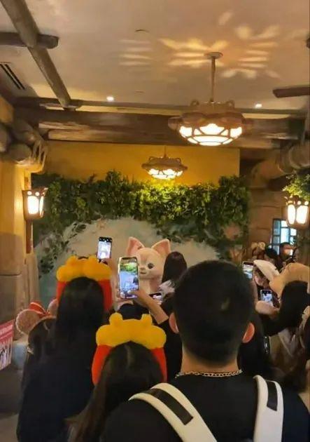 这只粉色小狐狸怎么就火了