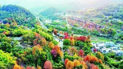 2021年“五一”假日,国内游销售市场恢复势态优良