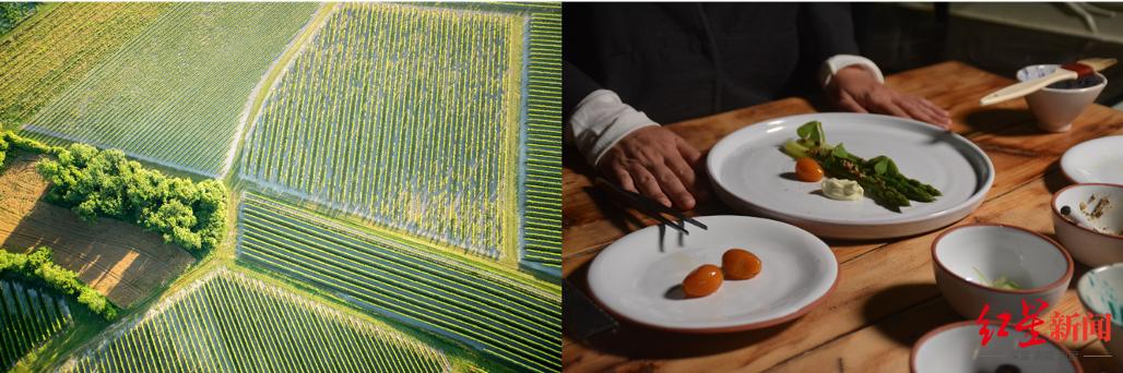 米其林十大品牌，高端品牌联合米其林