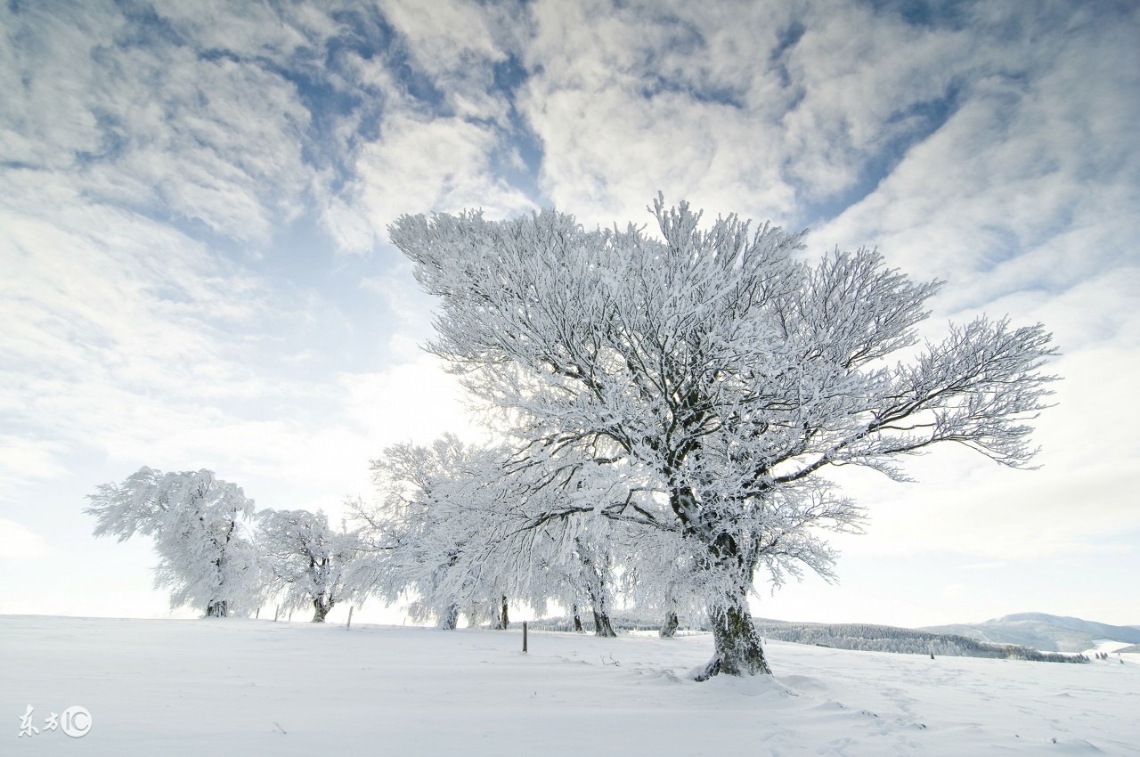 冬天的句子短句唯美描写雪景的唯美古诗句
