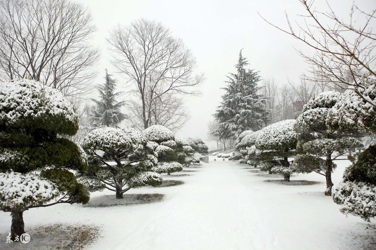 冬天的句子短句唯美描写雪景的唯美古诗句