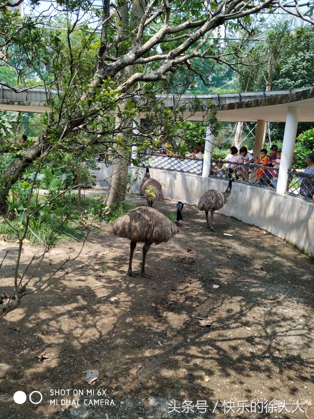 暑假游玩好去處，廣州動物園看動物