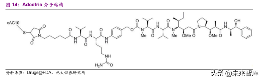 创新药专题：抗体偶联药物，靶向递送毒性小分子的生物导弹