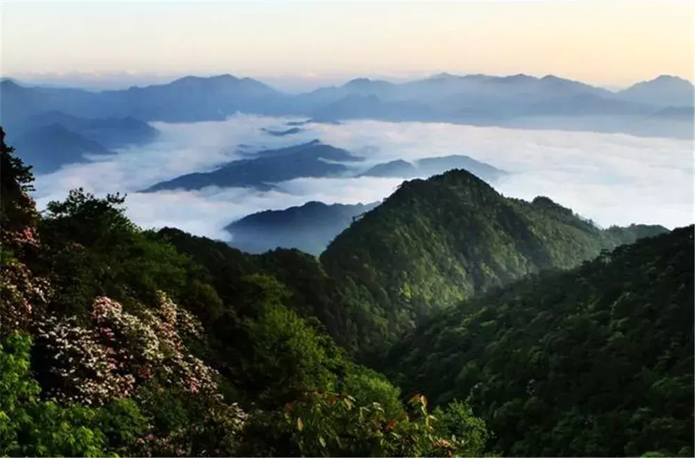 明天丽水各大景区免费玩、优惠玩，全攻略请收好！