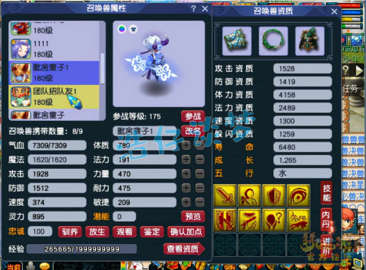 梦幻西游：土豪新区打造175方寸，谛听鲲鹏全有，月刷33亿经验