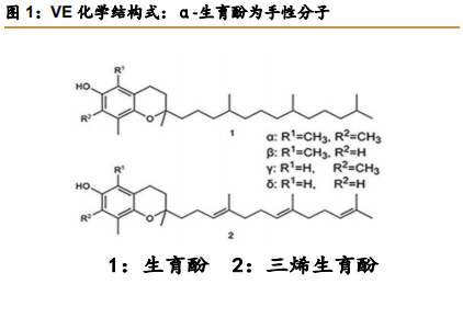 维生素E行业专题报告：行业并购及工艺变革推动VE行业发展