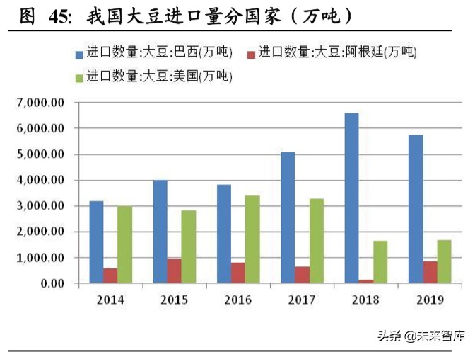 粮食供需分析及国内外种业发展对比专题报告