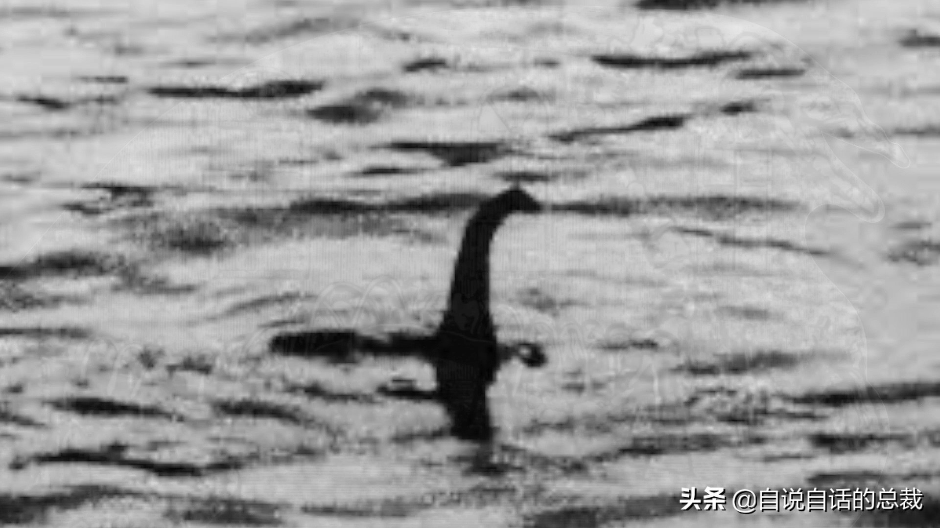 大海深处未解之谜大海神秘未解之谜