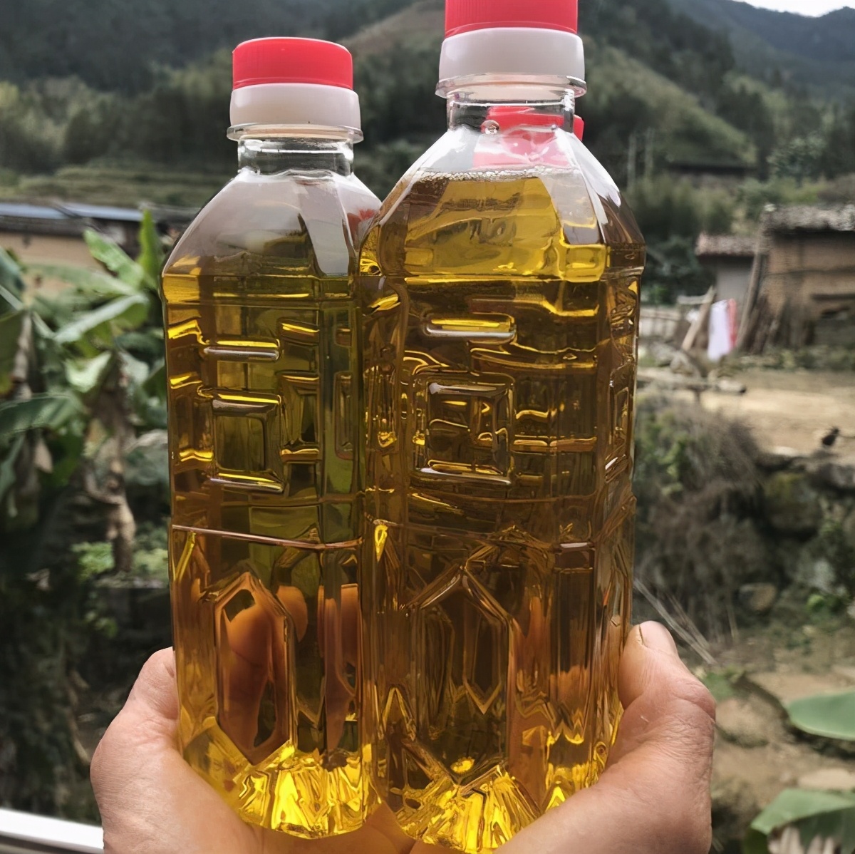 我国特产的一种油，曾被拍成科教宣传片，一直被推崇却红不起来