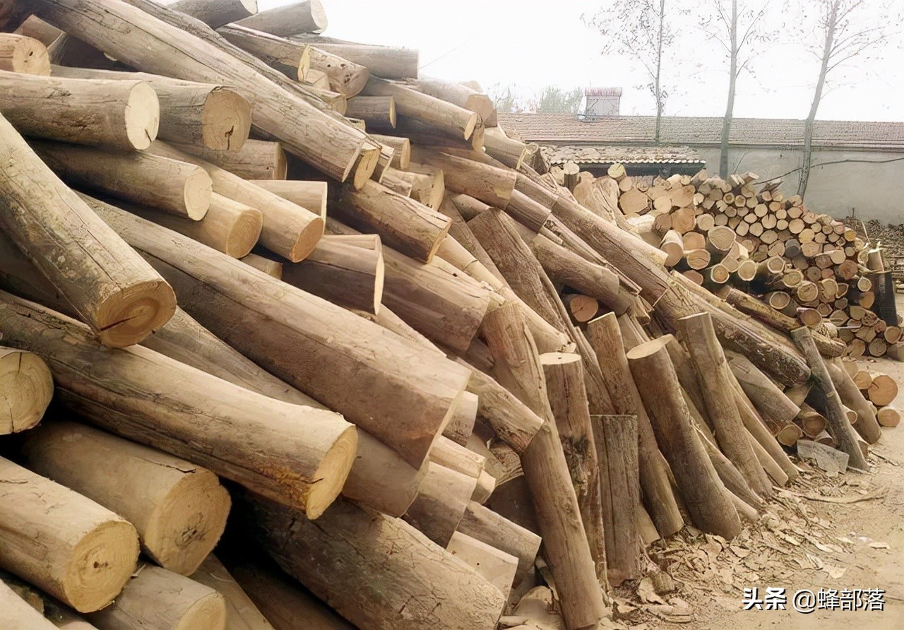 废木头回收多少钱一斤有人花钱在农村专门收购旧木头