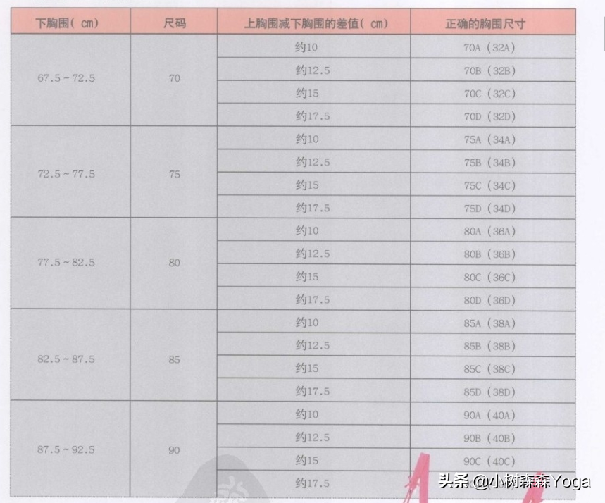 精致女人的内衣哲学