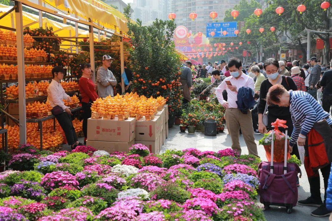 买花盆去哪里批发市场全国最大的花卉批发市场介绍