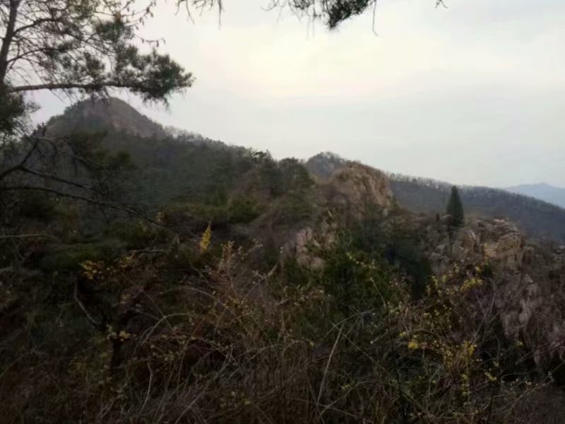 临朐嵩山，一个免费的旅游景点