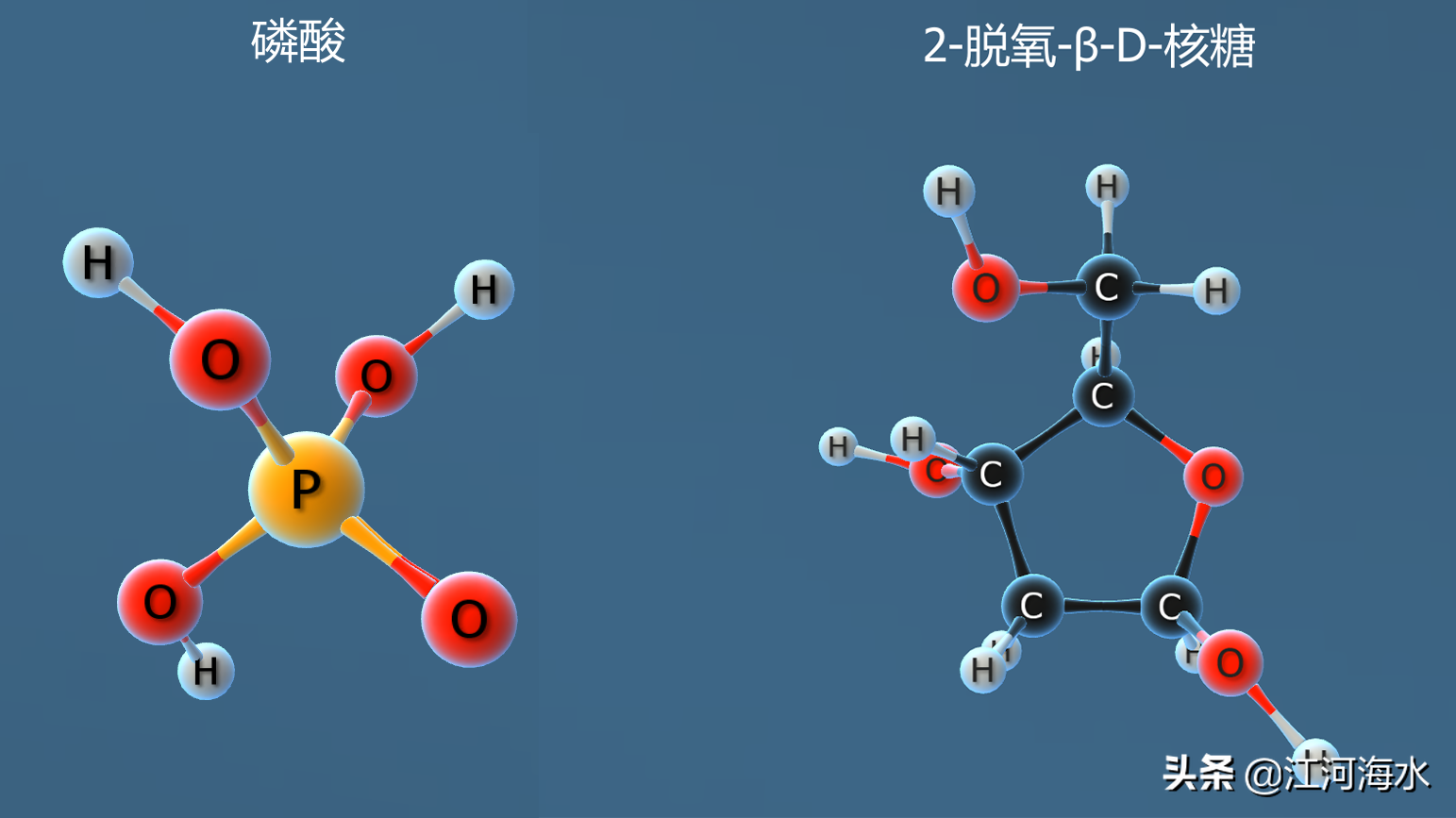 脱氧核糖是什么脱氧核糖是什么梗