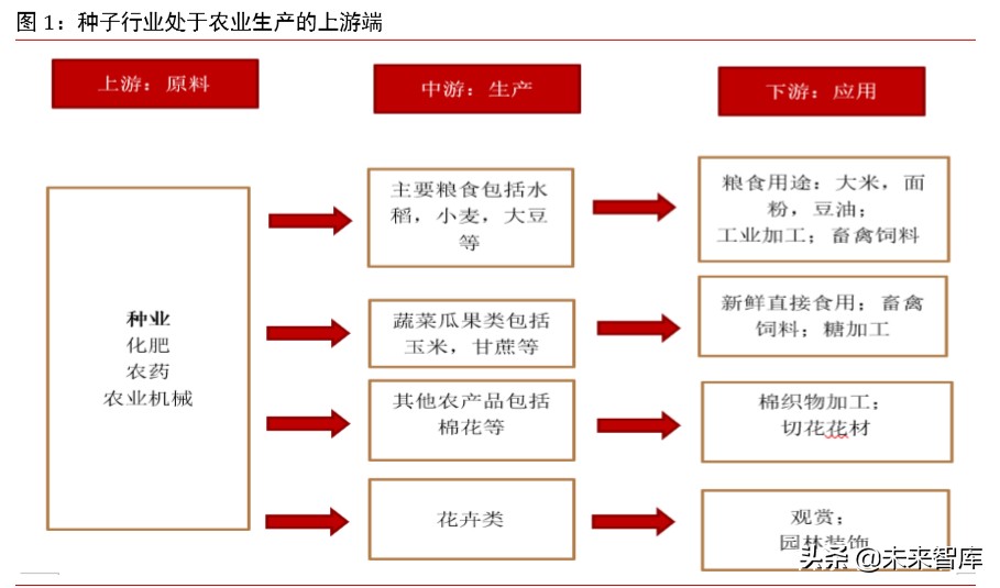 种子行业专题报告：市场空间、发展趋势、供需结构